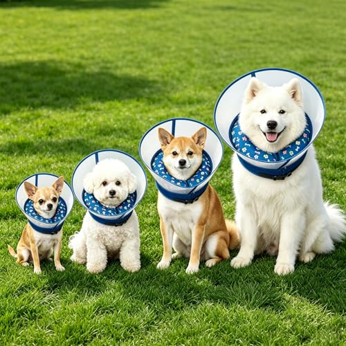 2-in-1 Inflatable Dog Cone Collar, Transparent Anti-Licking Shield with Detachable Soft Padding, Adjustable Elizabethan Collar for Small, Medium, Large Dogs and Cats (M) ((M）)
