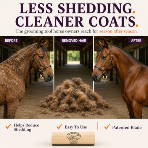 10 Inch Horse Brush (Horse Brush)
