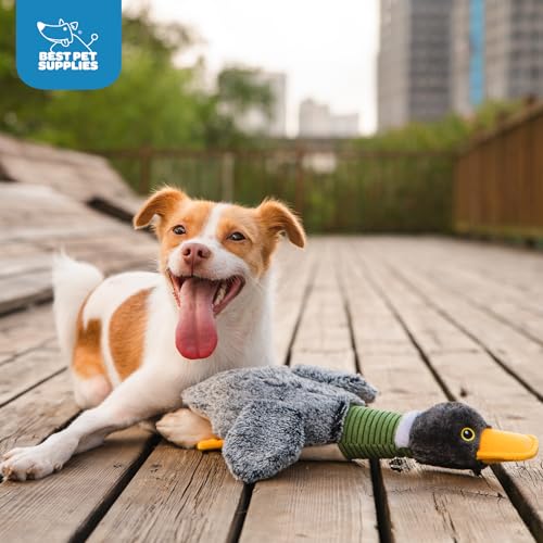 Interactive Squeaky Dog Chew Toy (Mallard Duck Wing (Gray) / Small)