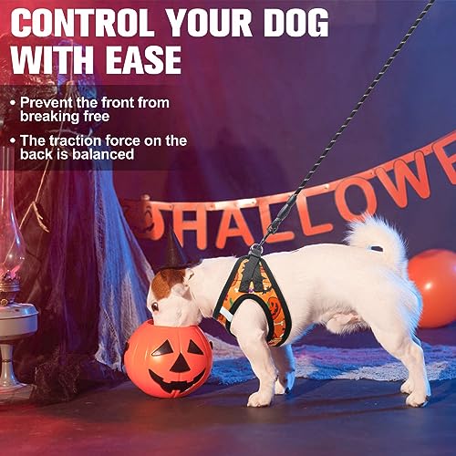 Halloween Dog Harness Medium Sized and Leash Set (Small(Chest Girth 14.5" - 16") / Halloween)
