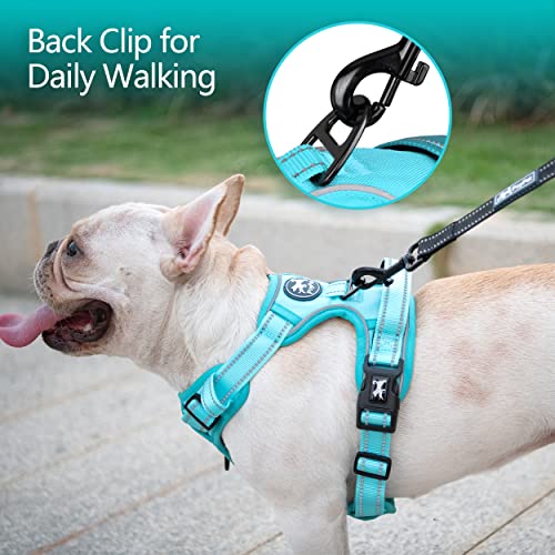 No Pull Dog Harness (S / Mint Blue(Matching Trim))