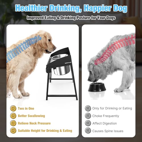 15" Tilted Elevated Dog Bowl
