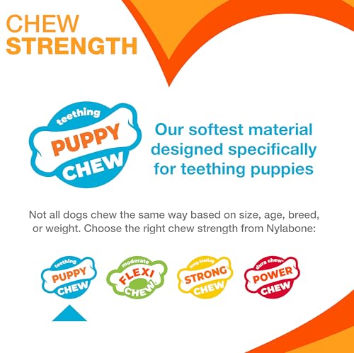 New Puppy Starter Kit (Pink / Small)