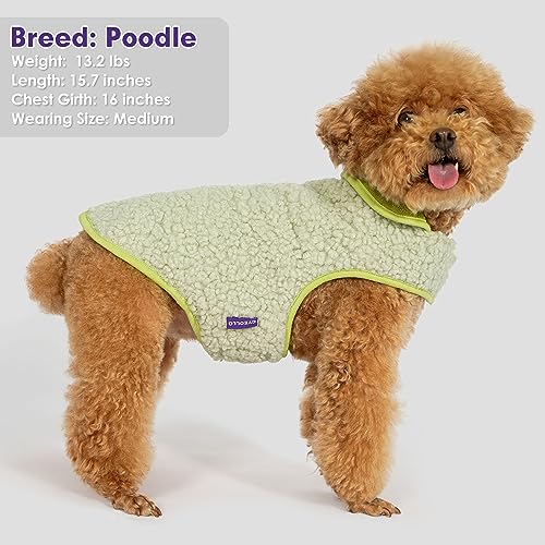Sherpa Dog Coat Reversible Dog Jackets for Medium Dogs (X-Large (22-28lbs) / Green)