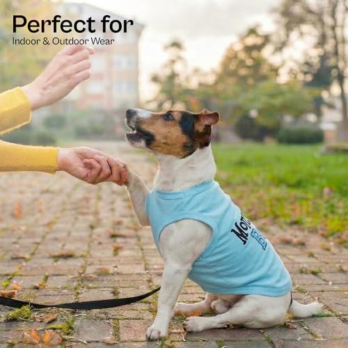 Dog Shirt Mommy’s Boy Pet Shirt (Medium (8-12lbs))