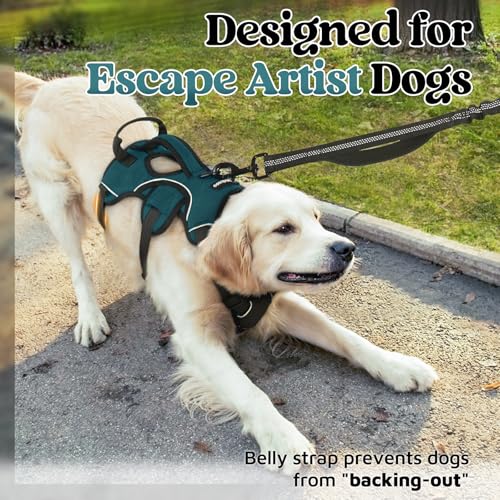 Escape Proof Dog Harness for Large (Dark Green / Large)