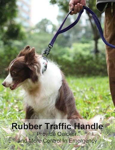 Heavy Duty Dog Leash (Blue)