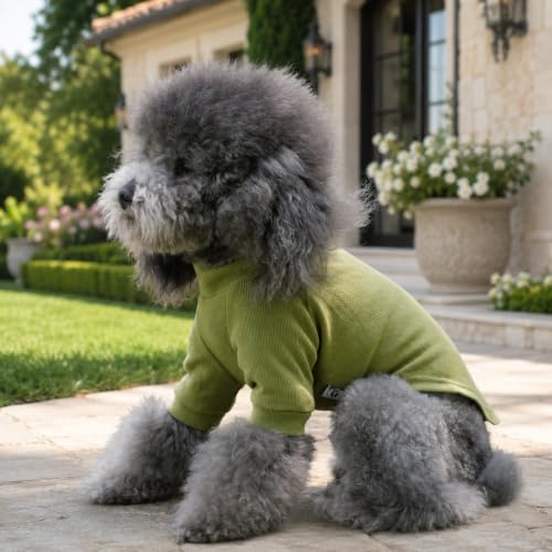 Ribbed Dog T Shirt Cotton Knitted Dog Sweaters for All Season Pet T (3XL (for Large Dog) / Olive green)