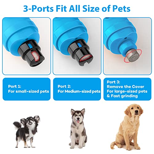 Dog Nail Grinder with 2 LED Light (D-Bright blue)