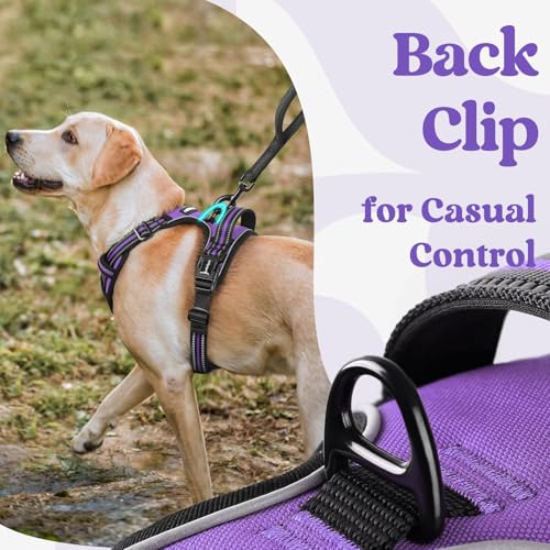 Dog Harness Small Sized (Small / Purple)