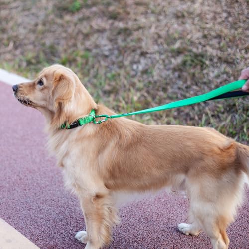 Short Dog Leash 24" (Lime Green / 24 Inches)