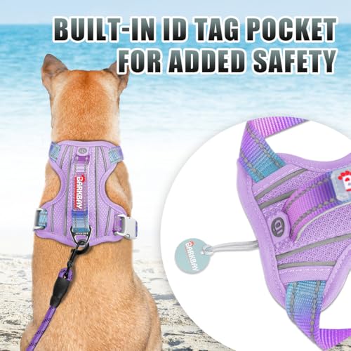 Dog Harness for Small Sized Dog No Pull Dog Vest ID Tag Pocket (Lavender Sky / Small)
