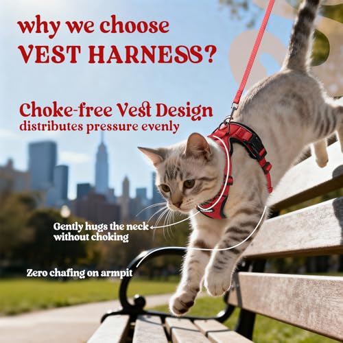 Cat Harness and Leash Set (M / Red)
