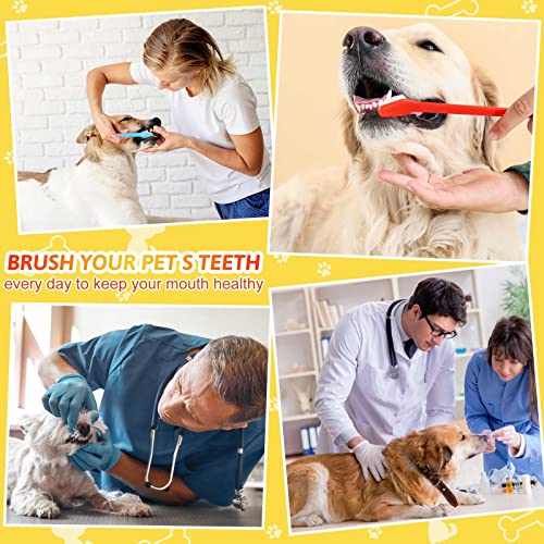 300 Pcs Pet Toothbrush Bulk
