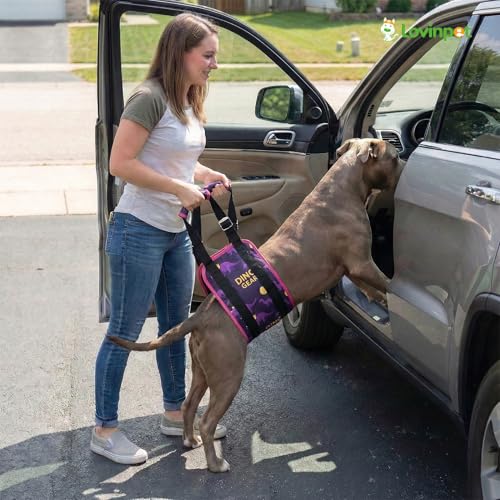 Dog Lift Harness Rear Support Sling (Purple)