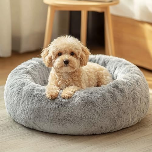 Small Dog Bed (01 - Smoke Grey / 20.0"L x 20.0"W x 6.0"Th)