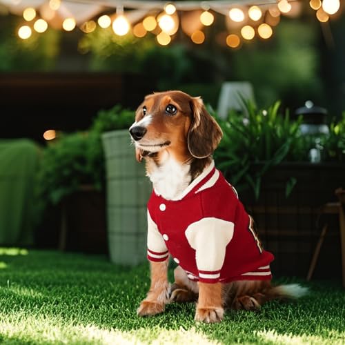 Dog Varsity Sweaters (Red / Large(8-12lbs))