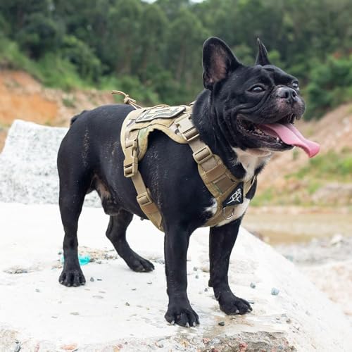 Tactical Dog Harness with Handle No (Small / Multi-colored)