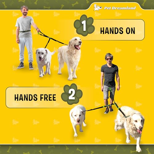 Exquisite Hands Free Leash for Two Large Dogs. Premium Quality & Versatile Waist Leash for Dog Walking No Tangle. You Will Absolutely Love This Amazing 2 Dog Gear (Black & Green)