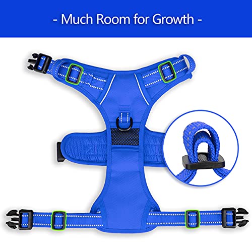 No Pull Dog Harness (XS / Royal Blue)
