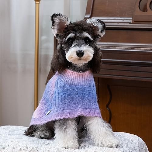 Rainbow Mohair Dog Poncho (Small(Back Length 10") / Rainbow 1)
