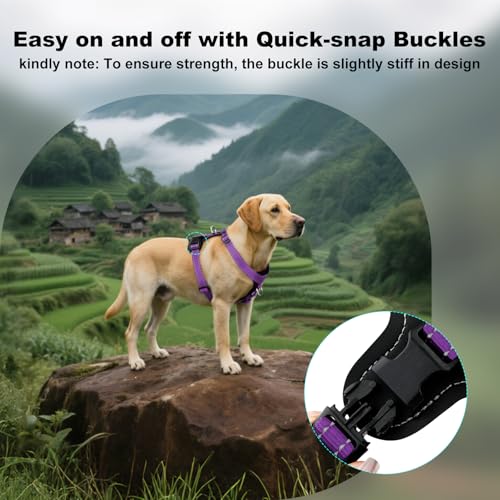 No Pull Dog Harness with Leather Accents (S / Purple)