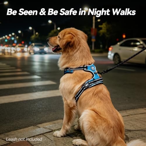 No Pull Dog Harness Small with Front Clip & Neck Release Buckle (S / Blue)