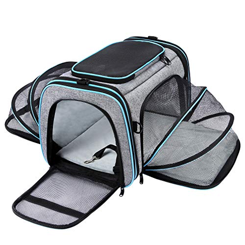 Airline Approved Pet Carrier