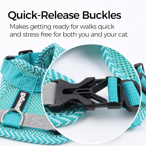 Cat Harness and Leash Set (Turquoise / Small)