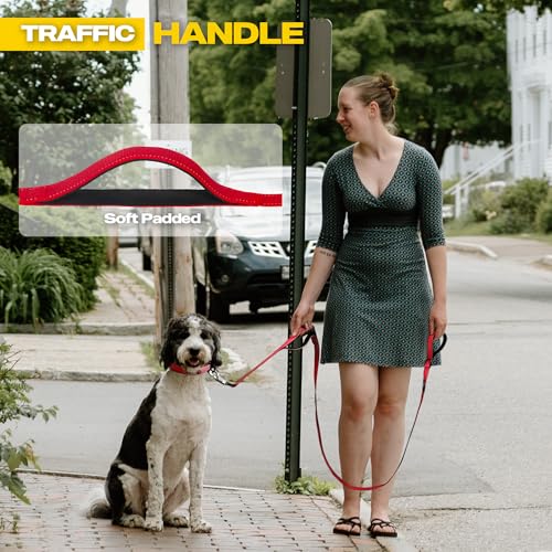 10 FT Heavy Duty Dog Leash (10 Feet (Pack of 1) / Red)