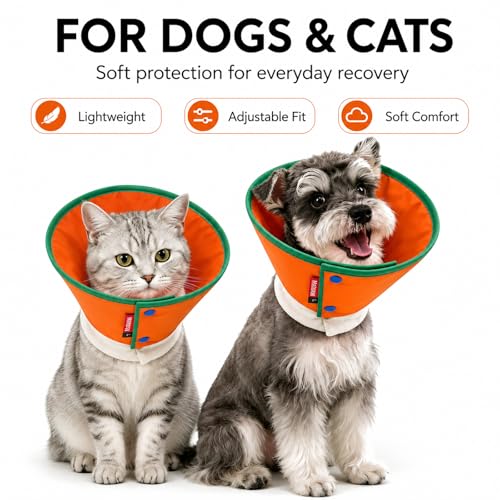 Soft Dog Cone Collar for Dogs & Cats (Orange / M)