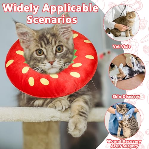 Cat Cone Collar Soft (Strawberry / Large)