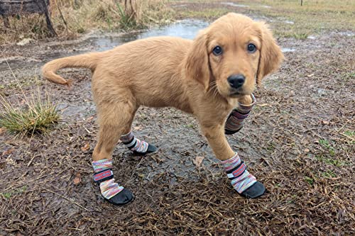 All Weather Neoprene Paw Protector Dog Boots with Reflective Straps in 5 Sizes! (Small)