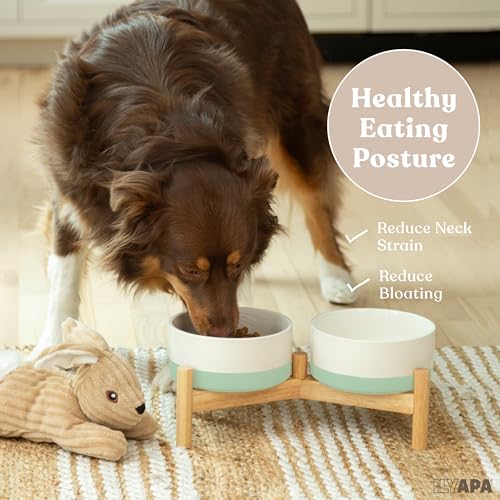 Elevated Ceramic Dog Bowls (Green)
