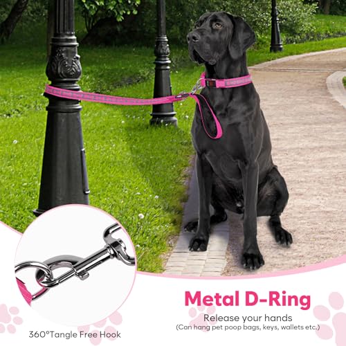 Light Up Dog Leash (Pink)