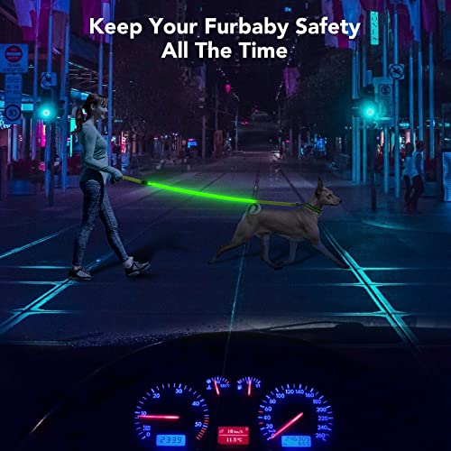 Light Up Dog Leash (Green & Reflective Wires / 4FT)