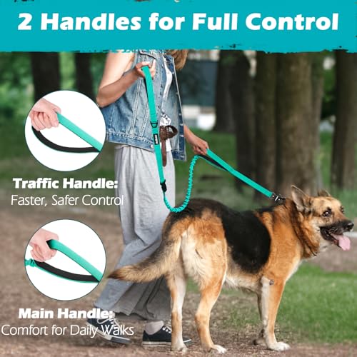 Heavy Duty Tactical Dog Leash (Turquoise)