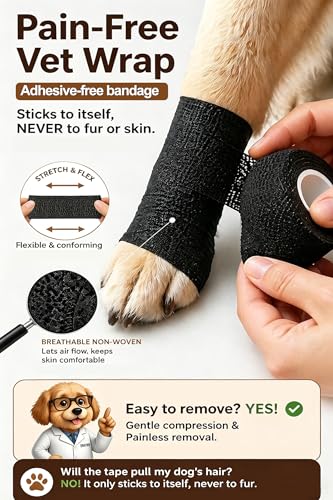 Dog Paw Wound Recovery Boot with Self (M)