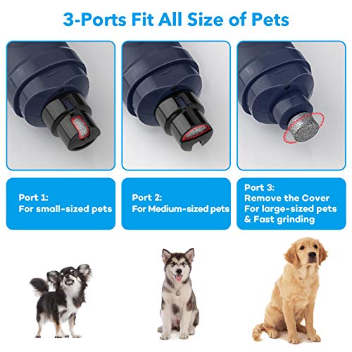 Dog Nail Grinder with 2 LED Light (B-Blue)