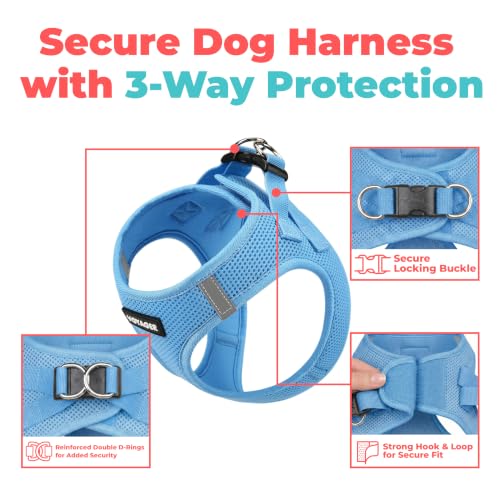 Voyager Step in Air Dog Vest Harness (Sky Blue / XXS (Chest: 12 - 13.5"))