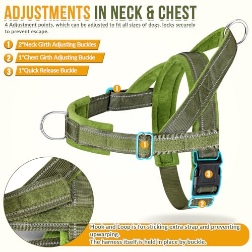 No Pull Dog Harness and Leash Set (Green / Medium)