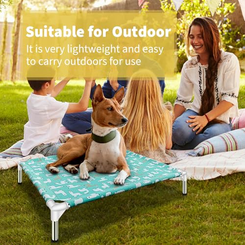 Elevated Dog Bed Pet cot (Medium)