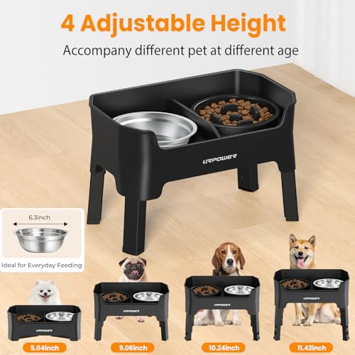 Elevated Dog Bowls for Small Dogs (Black / Small)