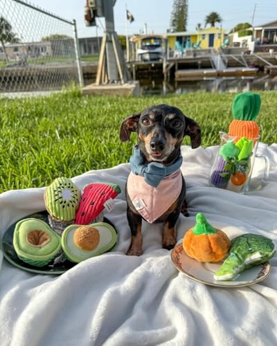 Squeaky Fruits Veggies Stuffed Dog Toys Pack (Fruit and Vegetables)