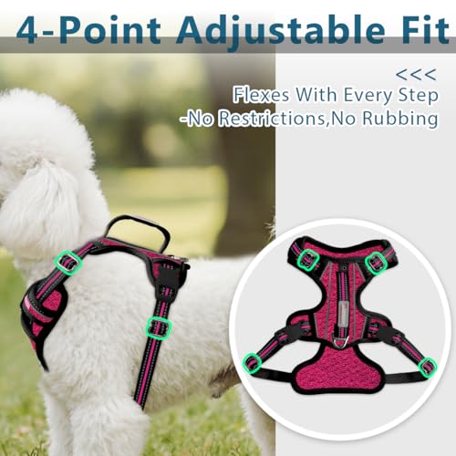 No Pull Dog Harness for Small Sized Dogs (X-Small(Chest:15.5-19.5”) / Pink/Black)
