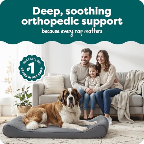 Orthopedic Dog Bed for Large Dogs (Giant/XXXL / Gray)