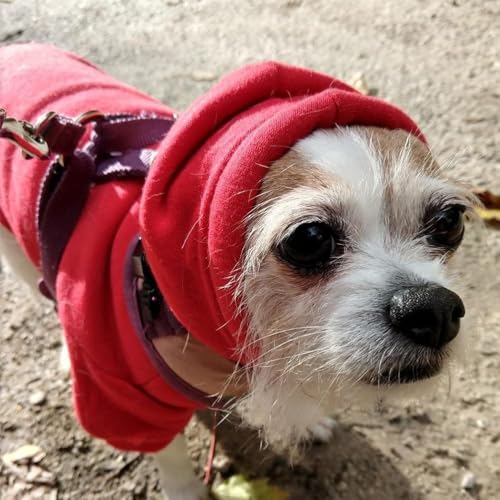 Security Dog Hoodie (#1 Red(Security) / X-Large/XX-Large (All Breed Sizes))