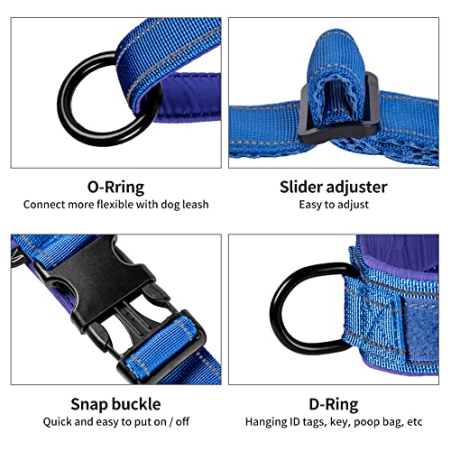No Pull Dog Harness with Padded Handle+5 Ft Leash (M / Blue Set)
