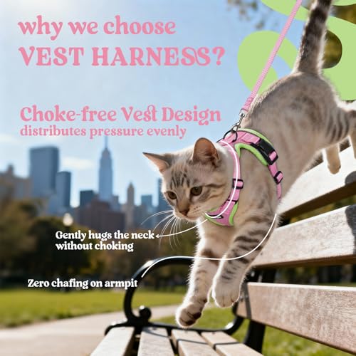 Cat Harness and Leash Set (M / Pink & Light Green)