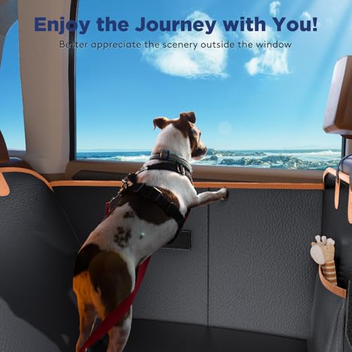 XL Back Seat Extender for Dogs (Black / For Full Size Truck /Full Size Suv)